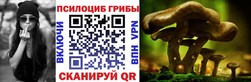 Галлюциногенные грибы MAGIC MUSHROOMS  гидра как войти  Нелидово 